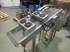 2009 Anko Spring Roll Production Line